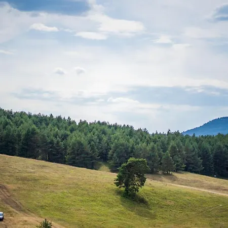 - Kalman Gold Apartament *