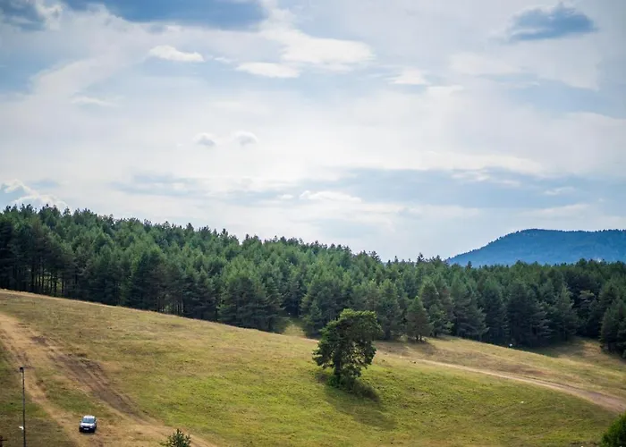 - Kalman Gold Apartman *